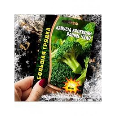 Капуста Брокколи Раннее Чудо (Григорьев) 200шт