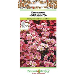 Камнеломка Фламинго (смесь) (НК)