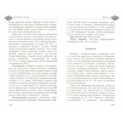 Октябрина Ганичкина Любимые домашние цветы