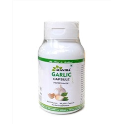 GARLIC Capsule, Alantra (Аюрведические капсулы ЧЕСНОК, Алантра), 60 капс.