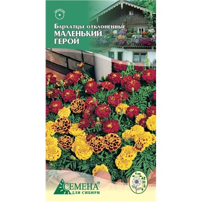 Бархатцы Маленький Герой, 5шт (цв)