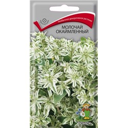 Цв.Молочай окаймленный (Поиск) 0,2гр одн.