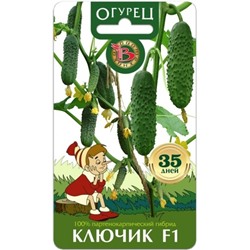 Огурец Ключик F1 (Био) 8шт