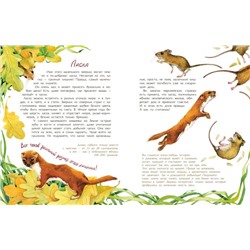 Животные-малютки