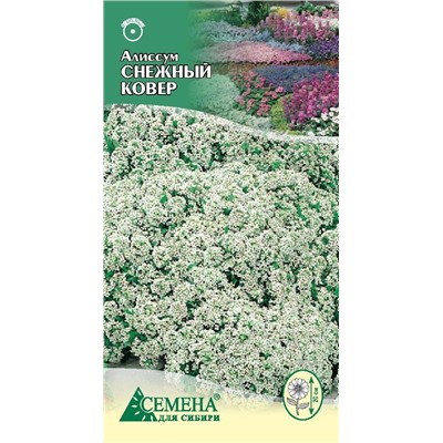 Алиссум Снежный ковер, 0,1г (цв.)
