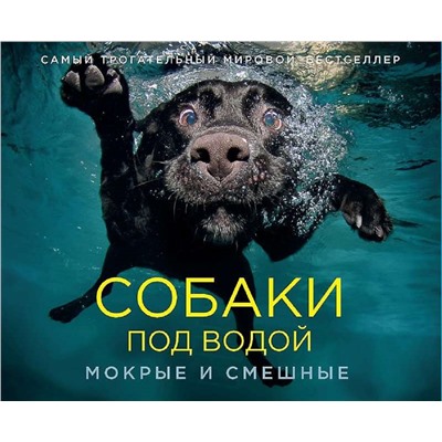 Собаки под водой. Мокрые и смешные