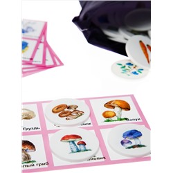 Лото с пластиковыми фишками «Родная природа»