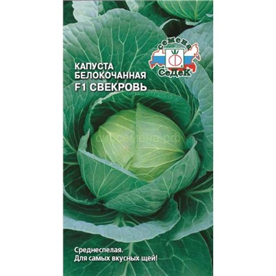 Капуста бк Свекровь F1 (Седек)