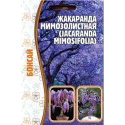 Жакаранда мимозолистная (Редкие)