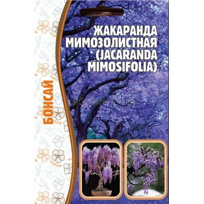 Жакаранда мимозолистная (Редкие)