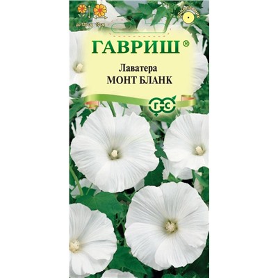 Лаватера Монт Бланк (Гавр)