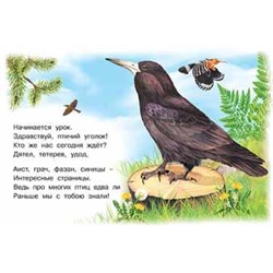 Кн. Знакомимся с животными.  Лесные птицы 16 цветн.стр. 21,3*14,2см  27681