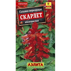 Сальвия Скарлет сверкающая (Аэлита)