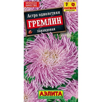 Астра Гремлин лавандовая (Аэлита)