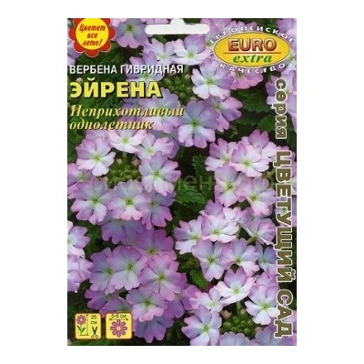 Вербена Эйрена гибридная (Аэлита)