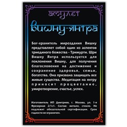 ALE731 Амулет ВИШНУ ЯНТРА, кулон со шнурком (металл, размер кулона 36х28 мм.), 1 шт.