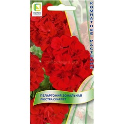 Пеларгония Люстра скарлет (комн) (П)