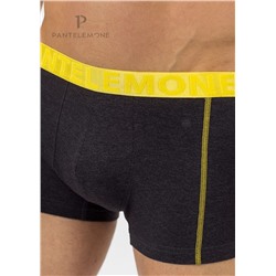 PMH-1161 (Трусы мужские шорты, PanteLemone )