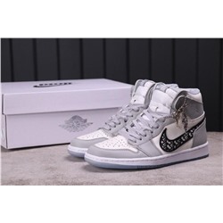 Nike Dior x Air Jordan 1