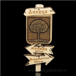 Магнит из бересты г.Липецк "Указатель" 44*90мм вставка золотистая