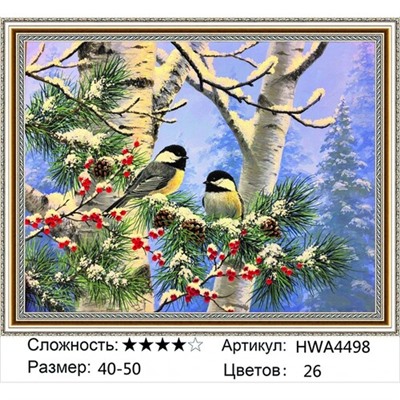 AM45 HWA4498, 40х50 см