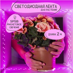 Фитолента св-диод Uniel ULS-P77-2835-42LED/SPSB IP20 2м фиол