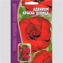 Цв.Адениум Красна девица (Григорьев) 3шт
