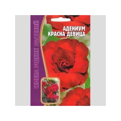 Цв.Адениум Красна девица (Григорьев) 3шт