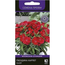 Цв.Гвоздика Карпет Файр (Поиск) 10шт