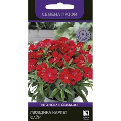 Цв.Гвоздика Карпет Файр (Поиск) 10шт