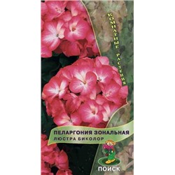 Цв.Пеларгония Люстра Биколор зональная (Поиск) ком.5шт.