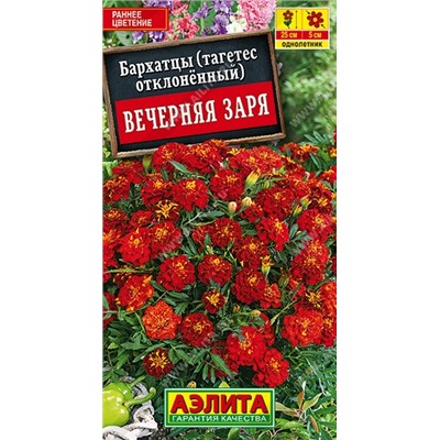 Цв.Барх.Вечерняя заря отклоненные (Аэлита) 0,3г
