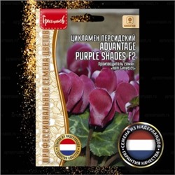 Цв.Цикламен Адвантаж Пурпл Шейдс F2 (Advantage Purple Shades) (Григорьев) 3шт