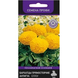 Цв.Барх.Антигуа Еллоу низ. (Поиск) 15шт