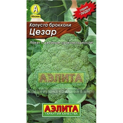 Капуста брокколи Цезар Лидер (Аэлита)