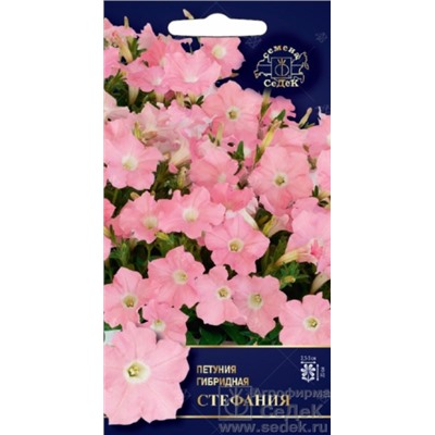 Цв.Петуния Стефания F1 (Седек) 5шт