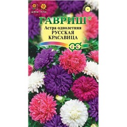 Астра Русская красавица (Код: 92894)