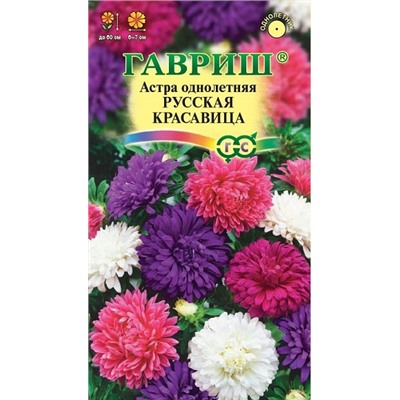 Астра Русская красавица (Код: 92894)