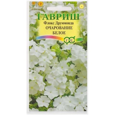 Флокс Очарование белое (Код: 69159)