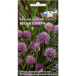 Лук Шнитт Весна Севера (Седек) 0,5г