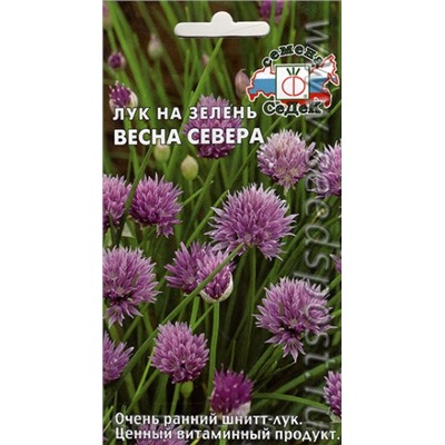 Лук Шнитт Весна Севера (Седек) 0,5г