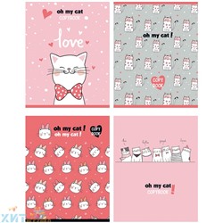 Тетрадь 48 л. клетка "Oh my cat!" в ассортименте BG Т5ск48 8820, Т5ск48 8820