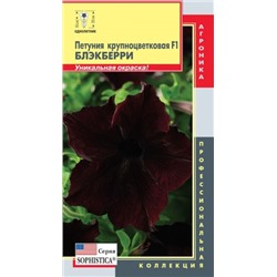 Цв.Петуния Софистика Блэкберри F1 крупноцв. (Плазма) 5шт