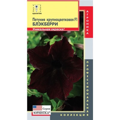 Цв.Петуния Софистика Блэкберри F1 крупноцв. (Плазма) 5шт