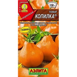 Томат Копилка (Аэлита)