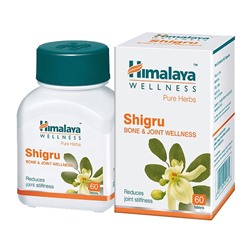 SHIGRU Bone & Joint Wellness, Himalaya (ШИГРУ, Детокс и антиоксидант, Хималая), 60 таб.