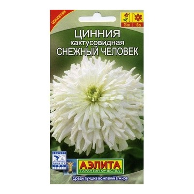 Цинния Снежный человек (Аэлита)