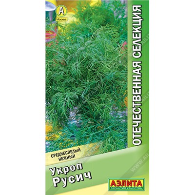 Укроп Русич Аэлита