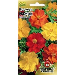 Цв.Космея Рыжик (Гавриш) 0,3г Уд.Сем.