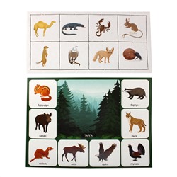 Обучающее картонное лото для детей «Кто где живет»